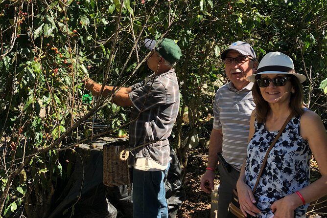 Full-Day Private Tour to San Sebastian del Oeste with Guide - The guided town walk: historic sites, crafts, and a real sense of place
