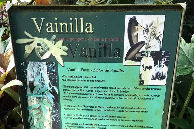 Full Day Puerto Vallarta Botanical Garden Tour - What it’s like on the ground: fitness level, timing, and expectations