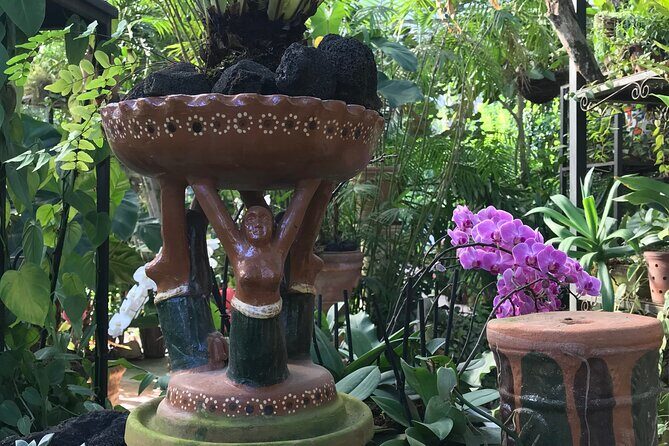Full Day Puerto Vallarta Botanical Garden Tour - Jardin Botánico de Vallarta: major plantings, then wilder trails