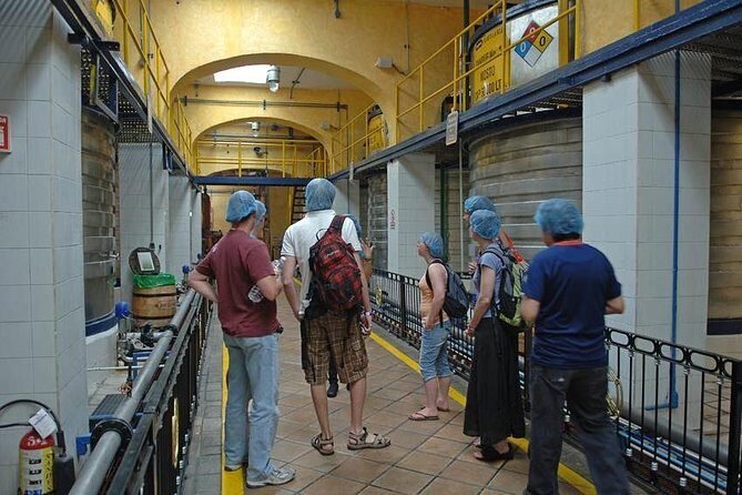 Full-Day Tequila, Jalisco from Puerto Vallarta with Tequila Experience - Logistics you’ll feel on the ground: pickup, start time, and the small-group cap