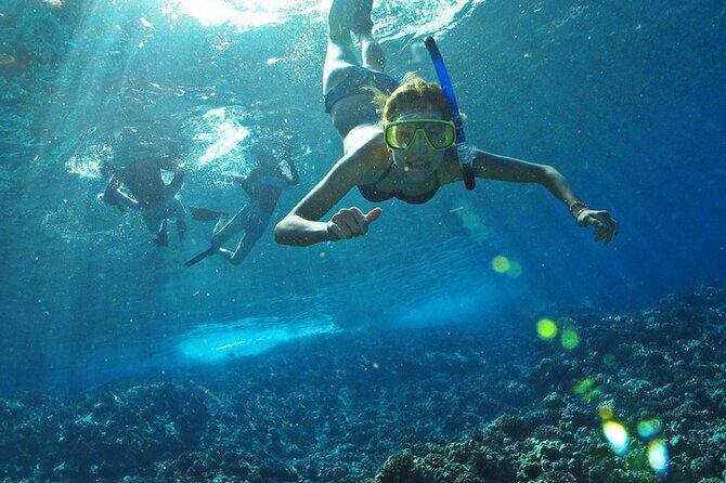 Full Day Tour Isla Marietas with Meals and Open Bar - What’s not included (and the small stuff you’ll wish you knew)