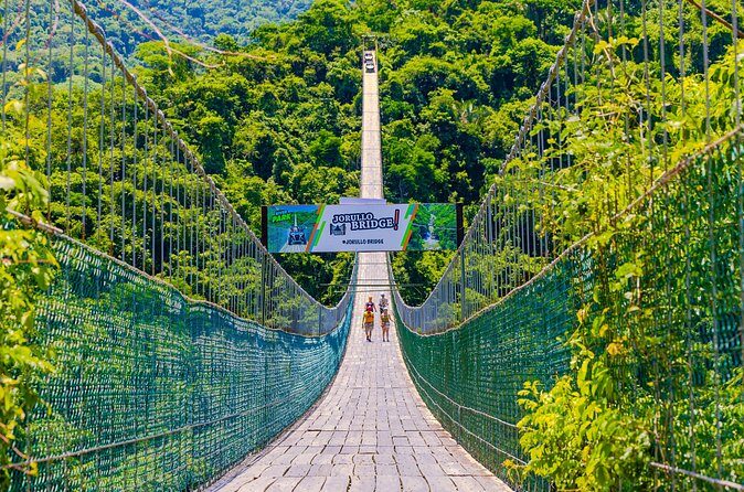 Full Zip Line Tour + Mules + Jorullo Bridge - Tequila Tasting: How to Make the Most of the Included Pour