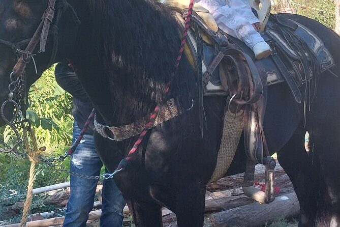 Fun Horseback Tour in Mismaloya - How the guide and small group size affect your comfort