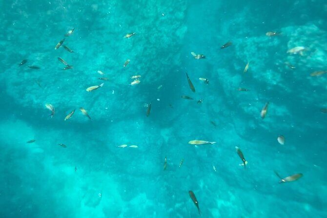 Guaranteed Hidden Beach • Private : up to 4 pers. • Punta Mita - Who this private Hidden Beach Punta Mita tour suits best