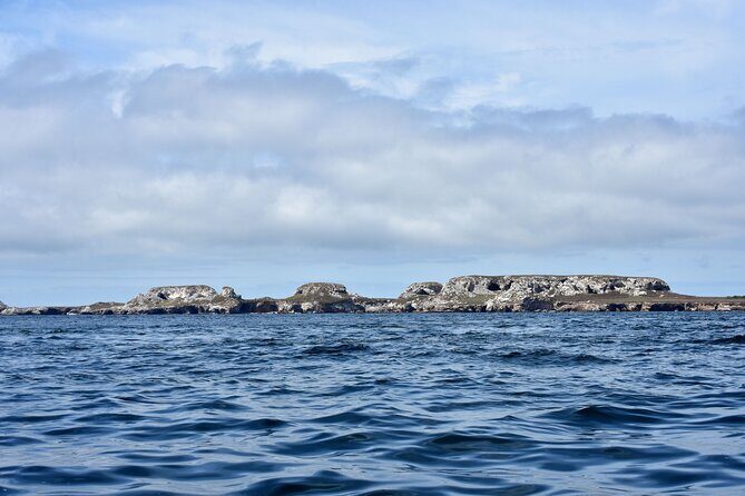 Half-Day Tour to Marietas Islands, Playa Nopalera by Speedboat - Stop 2: Bay of Banderas Breakfast + the Scenic 120 Minutes