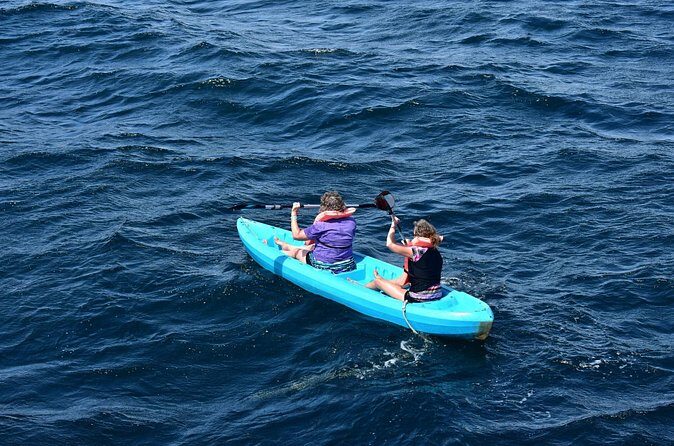 Half-Day Tour to Marietas Islands, Playa Nopalera by Speedboat - Stop 3 Continued: Playa Nopalera’s Rocky Coves and Sea Time