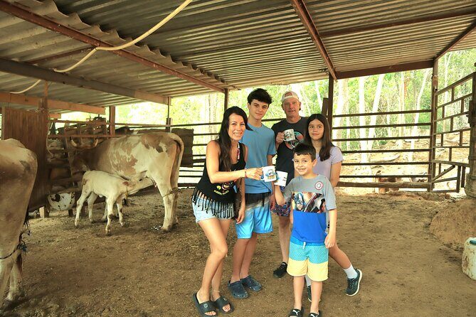Hands-on Mexican Farm Experience: from Cow to Cheese - Key points before you go