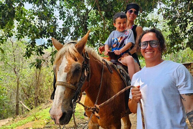 Hands-on Mexican Farm Experience: from Cow to Cheese - Cow to Cheese: What This Farm Day Is Like