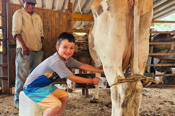 Hands-on Mexican Farm Experience: from Cow to Cheese - Getting There: Open-Air Transport Through the Jungle and Sierra Madre