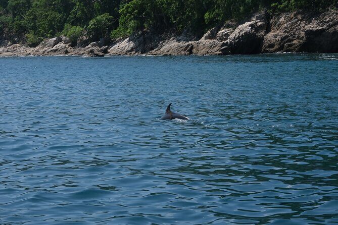Hidden Beach Snorkeling Adventure - The return beach break near Boca de Tomatlán