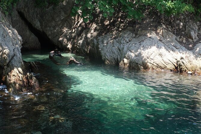 Hidden Beach Snorkeling Adventure - Price, group size, and value for Puerto Vallarta snorkeling