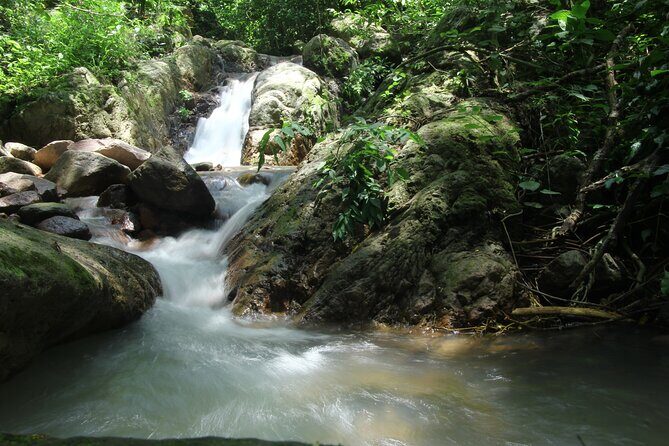 Hiking Adventure: River Trails & Waterfall Wonders - 4 hours from 8:00 am: what the day feels like