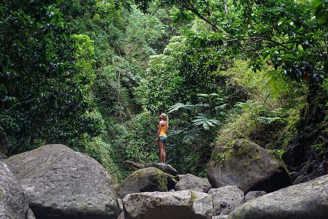 Hiking Adventure: River Trails & Waterfall Wonders - The waterfall stop: when the swim becomes the point