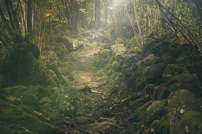 Hiking Adventure: River Trails & Waterfall Wonders - Tequila tasting and welcome drink: a fun cultural finish