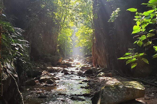 Hiking Adventure: River Trails & Waterfall Wonders - Price and value: is $77 worth it?