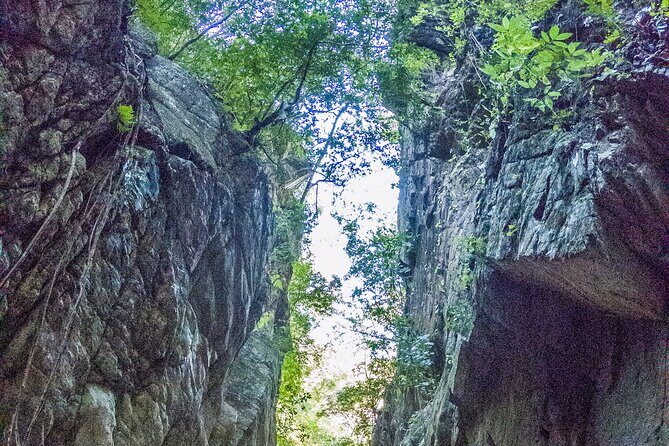 Hiking Adventure: River Trails & Waterfall Wonders - What to pack and how to prepare for river-walking