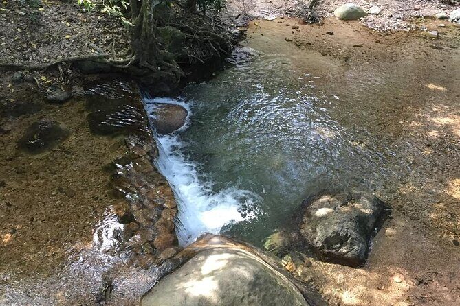 Hiking Adventure: River Trails & Waterfall Wonders - Who should book this hike (and who might rethink it)