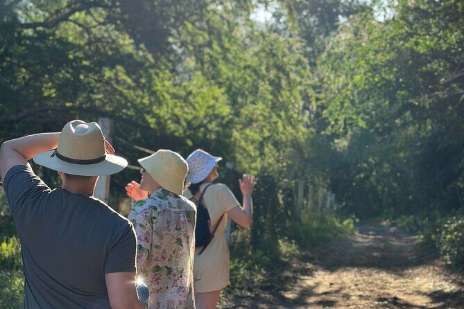 Hiking to Secret Hot Springs in the Mountain - The breakfast payoff: a typical Mexican start to the next part of your day