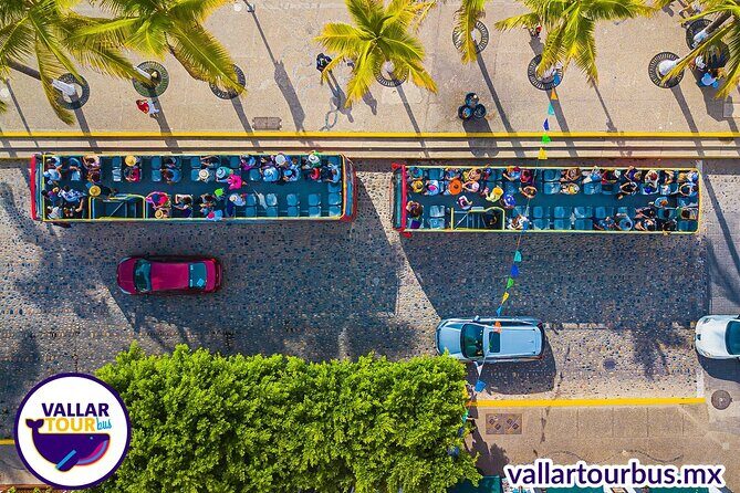 Hop On Hop Off Tour with Free Stops in Puerto Vallarta - Why Puerto Vallarta clicks with a hop-on hop-off bus