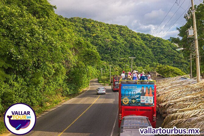 Hop On Hop Off Tour with Free Stops in Puerto Vallarta - On-board audio and guide style: what to expect without surprises