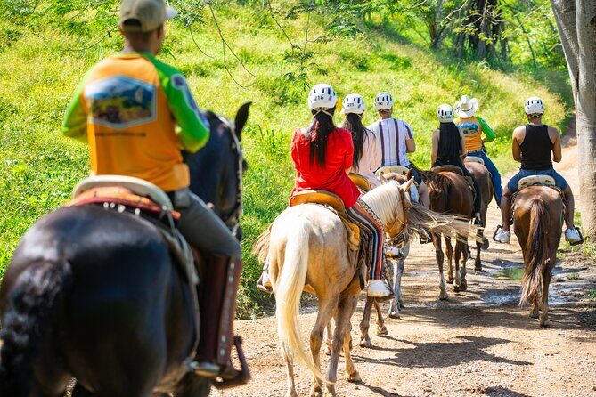 Horseback Riding Experience in Puerto Vallarta - Who This Horseback Ride Suits Best (And Who Should Skip It)