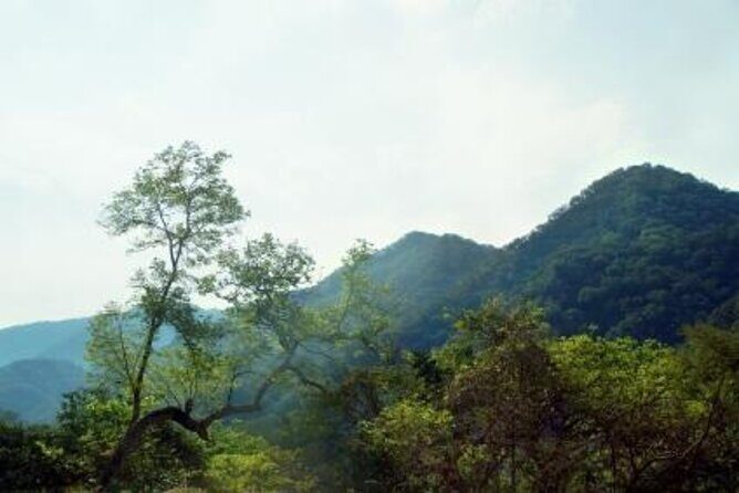 Horseback Riding Experience in Sierra Madre Mountains - Key Highlights You’ll Care About