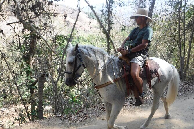 Horseback Riding Experience in Sierra Madre Mountains - The Ride Itself: Cuale River Views, Jungle Paths, and Colorful Wildlife