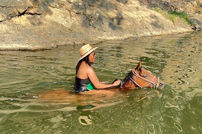 Horseback Riding & Swim: Tequila Tasting, BBQ & Margaritas - La Dulce Vista: tequila tasting, Pink tequila, and making salsa