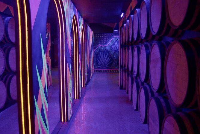Immersive Experience & Tequila Tasting in Puerto Vallarta - The tequila-making explanation: what you actually learn (and what you can skip)