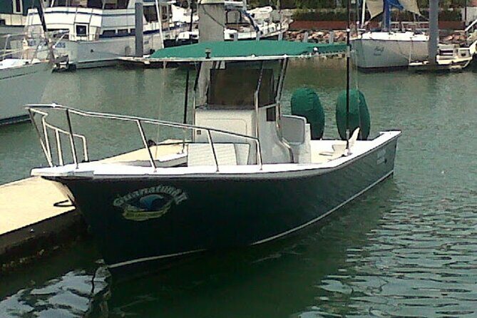 Inshore Fishing 4-Hour Puerto Vallarta Charter - Port fee reality: value checks before you board