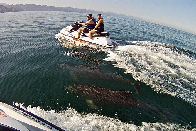 Jet Ski Safari in Puerto Vallarta - Snorkeling from the jet ski: gear, wildlife odds, and how long you’ll be in