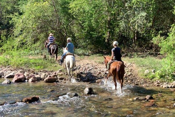 Jungle HorseBack Adventure to Las Palmas Waterfall All Included - Getting picked up: three meeting points near Puerto Vallarta