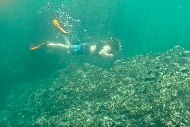 Los Arcos Snorkeling & 5 Island Adventure - Optional cliff-jump-style fun and the adult comfort level