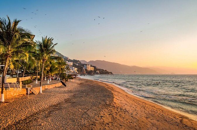 Love on the Boardwalk in Puerto Vallarta - Private - What the private guide really adds (and when it matters)
