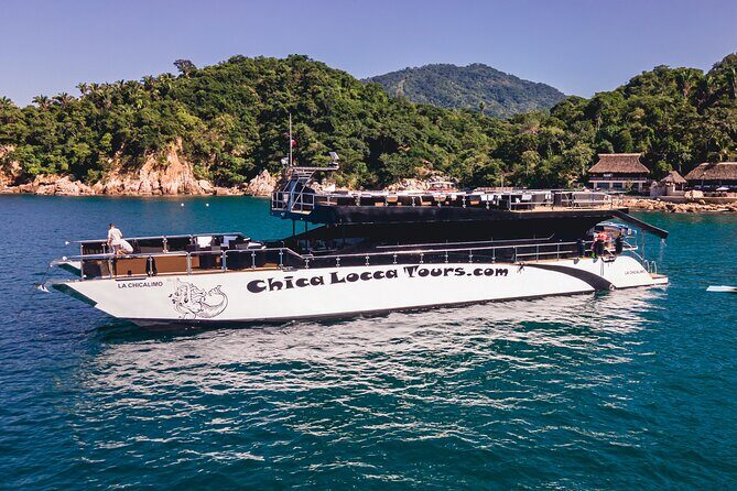 Luxury Mega Yacht 100' Limousine of the Sea 2: Puerto Vallarta - Wildlife Season: When You Should Hope for Whales and Dolphins