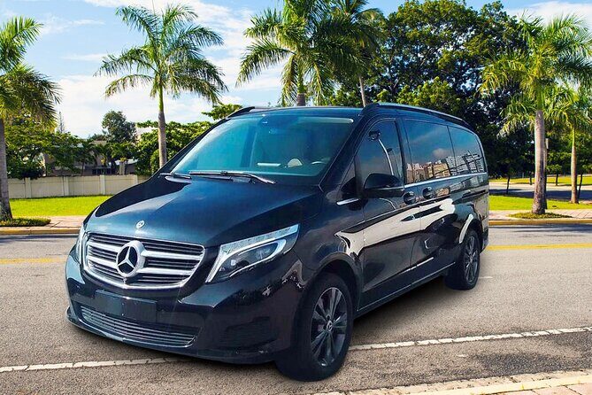 Luxury Private VIP Airport-Hotel Transportation - Private airport-to-hotel transfers: a calm start in Puerto Vallarta