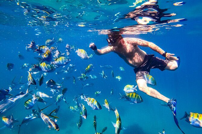 Luxury Yacht & Snorkel with All inclusive Open bar and lunch - Price and Value: What $119 Buys You in Real Terms