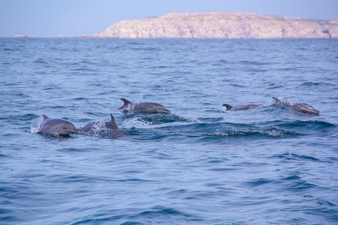 Marietas Hidden beach trip from Puerto Vallarta - Wildlife spotting and birdwatching without the drone