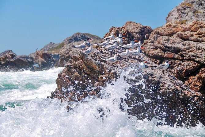 Marietas Hidden beach trip from Puerto Vallarta - When weather turns rough: how it affects your day