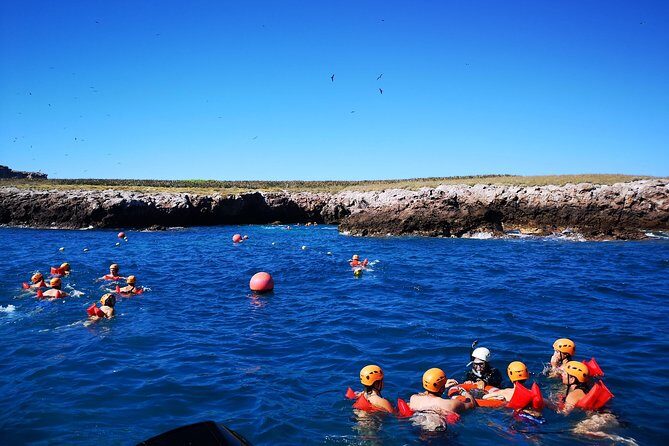 Marietas Islands Snorkel Tour & Hidden Beach - Getting There From Puerto Vallarta: Speed Boat, Ameca River, and Sea Life