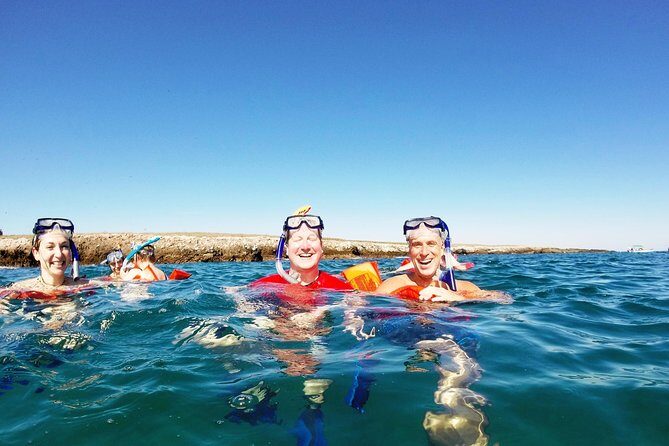 Marietas Islands snorkeling & Hidden beach (w/ restrictions) - Marietas Islands snorkeling with a biologist: wildlife you can actually connect with