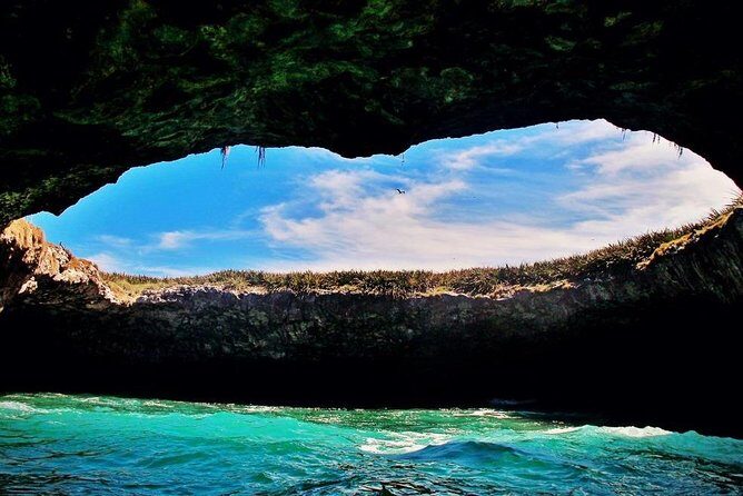 Marietas Islands with Guaranteed Entry to Playa Escondida - Whale Sightings on the Way Out: When the Sea Gives Back