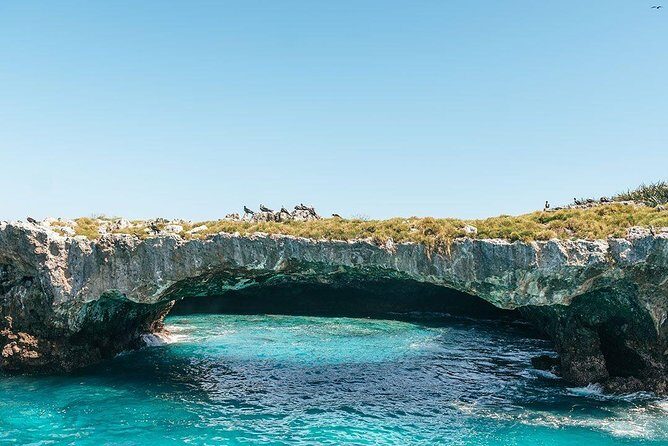 Marietas Islands with Guaranteed Entry to Playa Escondida - The 8:30 Departure Window and Why It Sets the Tone