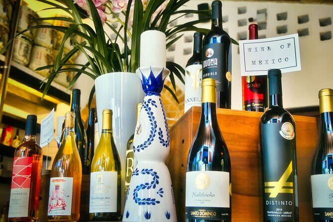 Mexican Wine Tasting Experience - What You Really Get: Five Wines Plus Cheese and Charcuterie