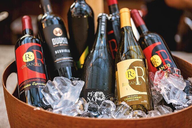 Mexican Wine Tasting Experience - The Garden Atmosphere and Live Music Effect