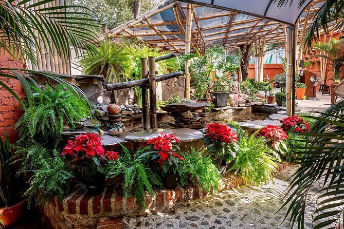 Mexican Wine Tasting Experience - Price and Value: Why $50 Makes Sense Here