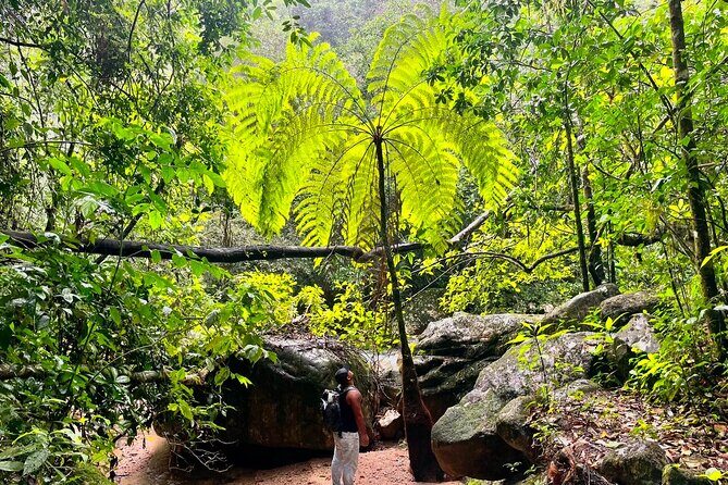Mismaloya Waterfalls Jungle Hike Full Day Adventure - Meeting at Starbucks Zona Romántica: start time, vibe, and why it matters