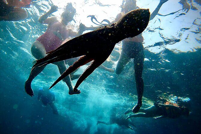 Paddleboard and Snorkeling Experience in Los Arcos - The Guide Team and Group Size: Why It Feels Personal