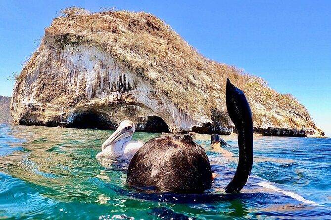 Paddleboard and Snorkeling Experience in Los Arcos - Who Should Book This Tour (and Who Might Want a Different One)