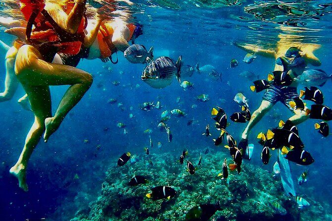 Paddleboard and Snorkeling Experience in Los Arcos - Getting Ready on Land: The Orientation That Saves You From Flailing